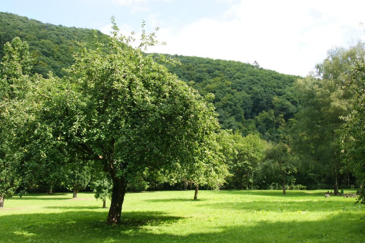 Bertricher Hof Hotel Garni Bad Bertrich Exterior photo